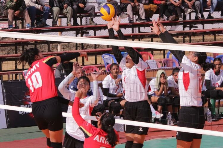 टाइगर कप भलिबल