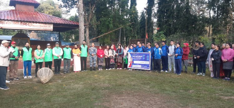 heritage sarsafai (1)