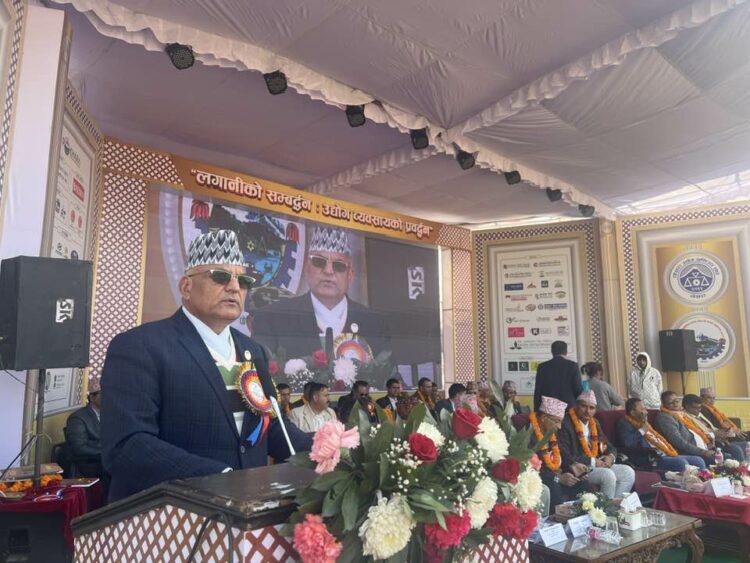 474465377_1197449715259016_8681143466453754900_n