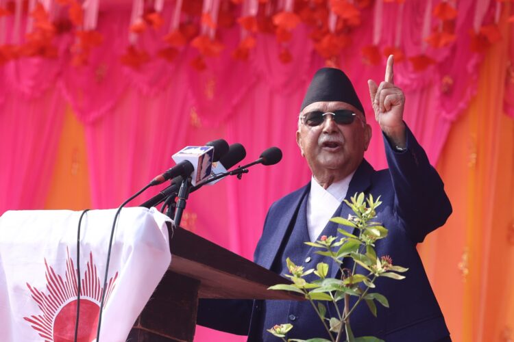 kp oli