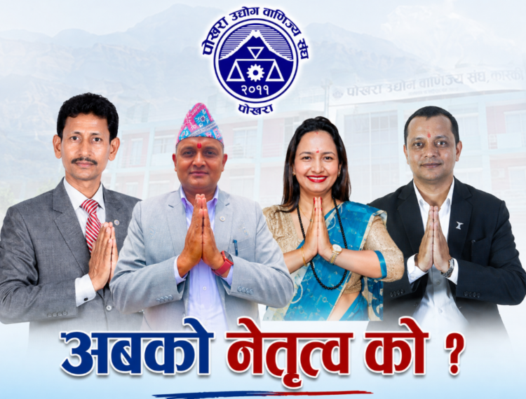 pcci news